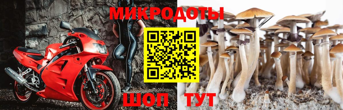 Галлюциногенные грибы Cubensis Керчь